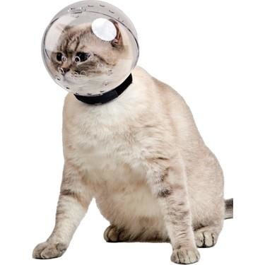 Lavimo Kedi Bakım Küresi