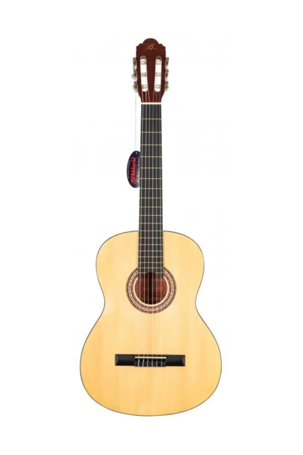 Lc 3900 Nl 4/4 Tam Boy Klasik Gitar Yedek Set Tel + Kılıf + Pena
