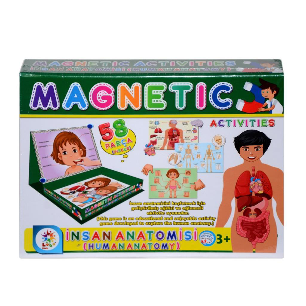 LC7171 Laço, Laço, Manyetik Aktiviteler - İnsan Anatomisi / +3 ya LC7171 Laço, Laço, Manyetik Aktiviteler - İnsan Anatomisi / +3 ya