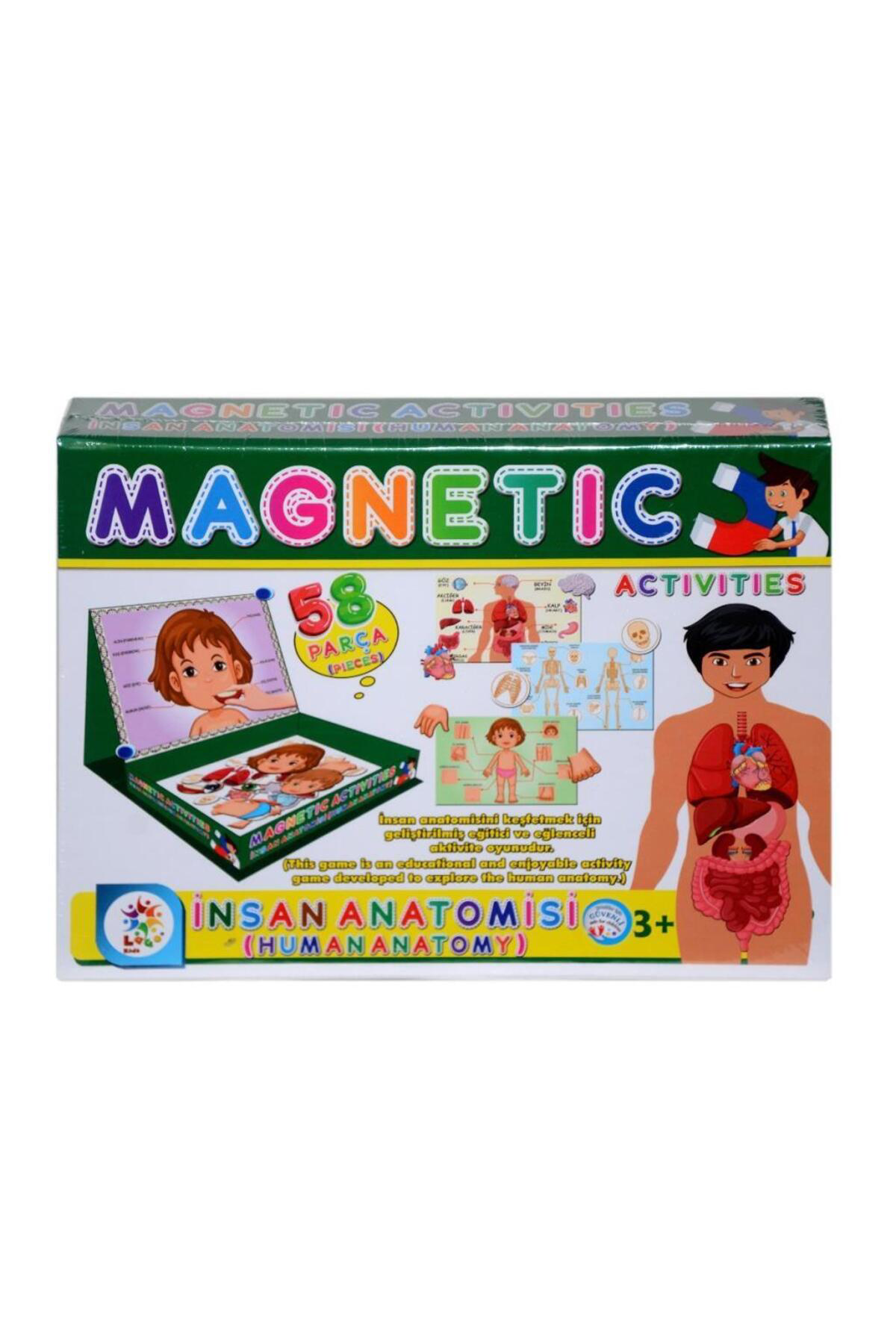 Nessiworld Lc7171 Laço, Laço, Manyetik Aktiviteler - İnsan Anatomisi / +3 Ya