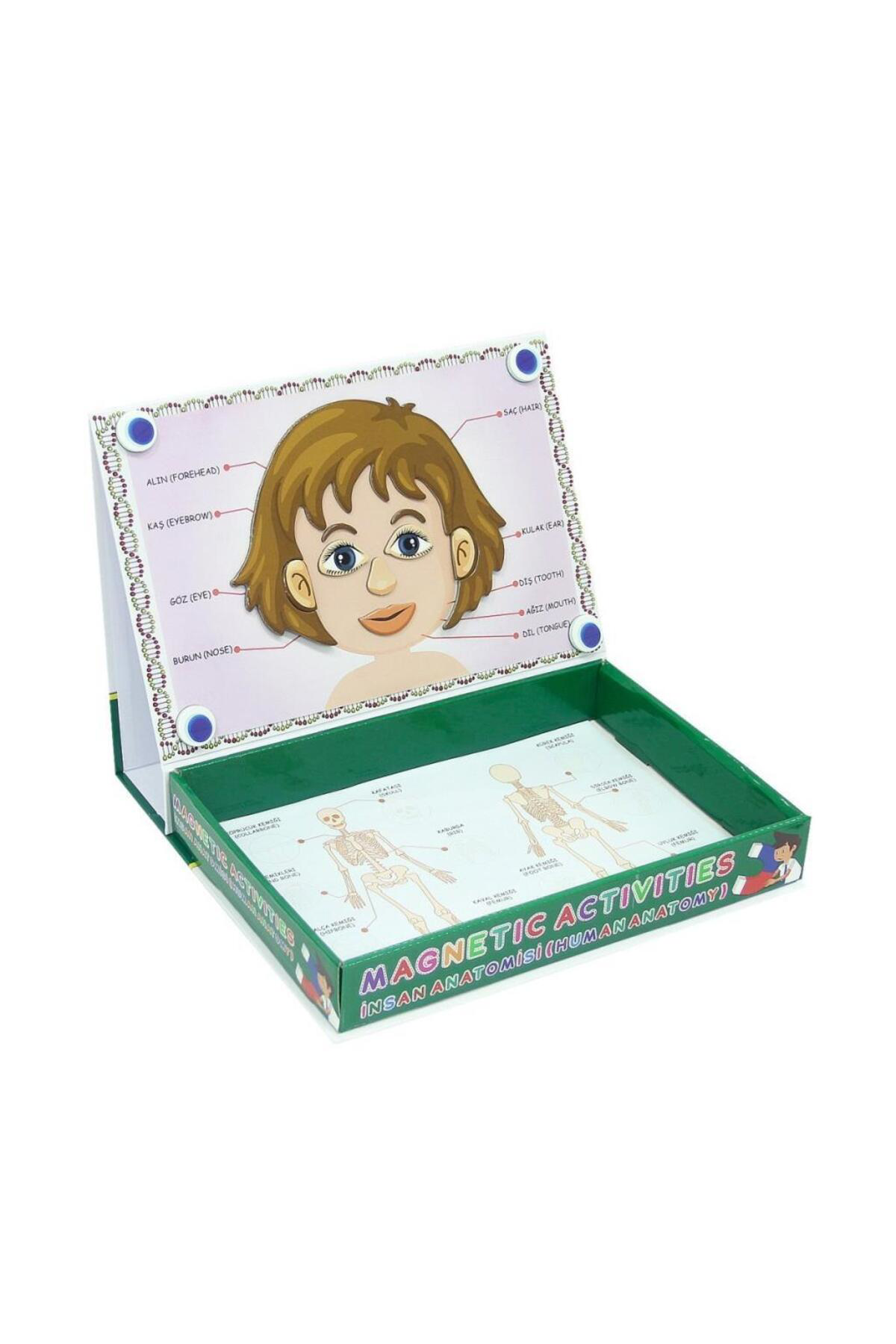 Nessiworld Lc7171 Laço, Laço, Manyetik Aktiviteler - İnsan Anatomisi / +3 Ya