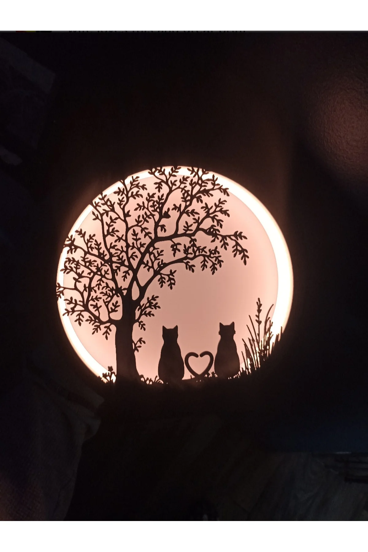 LED IŞIKLI KEDİ
