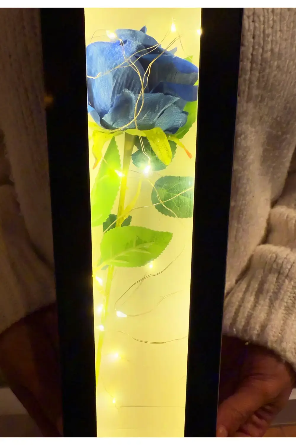 Ledli Kutuda Lacivert Kadife Gül Dogum Gunu Hediyesi Sevgiliye he