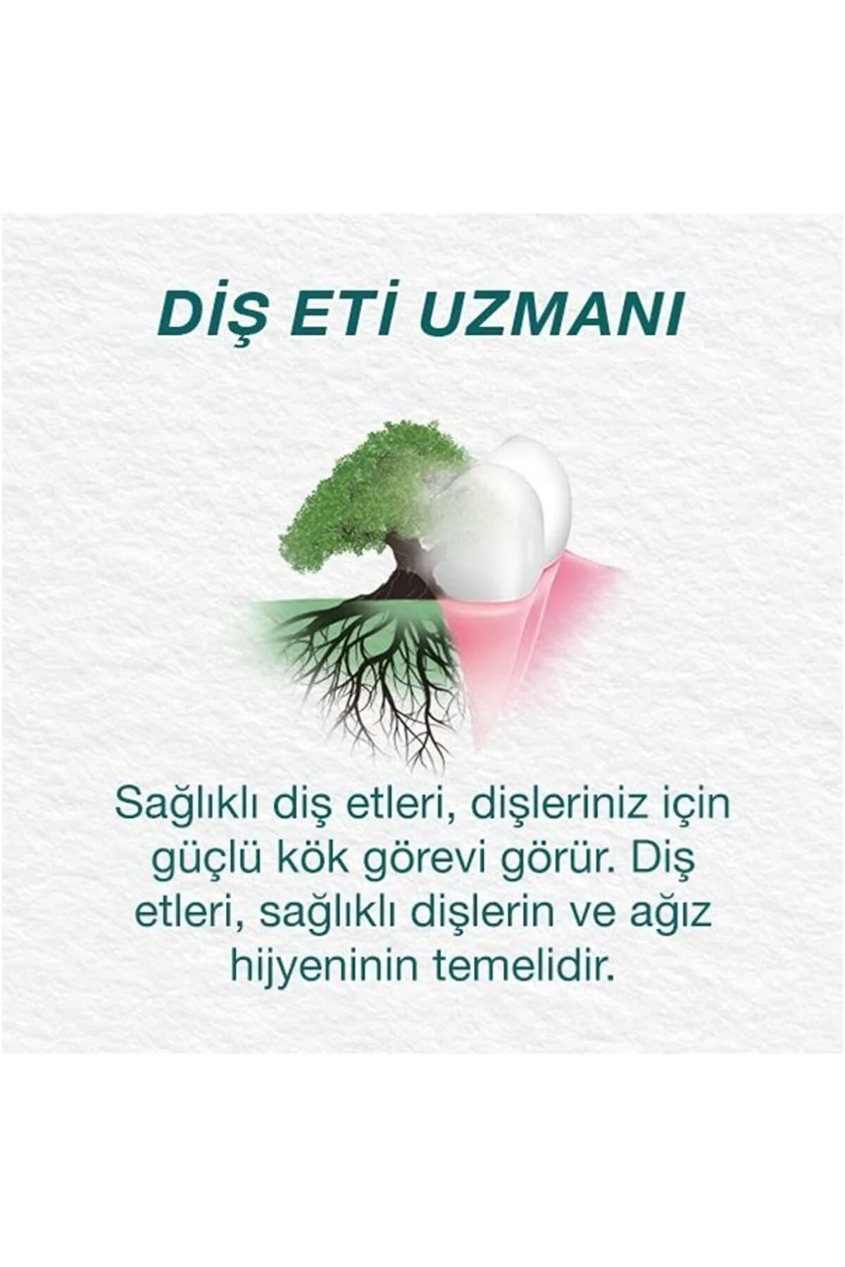 Leke Karşıtı Bitkisel Diş Macunu, Florürsüz, Parabensiz, Vejetery