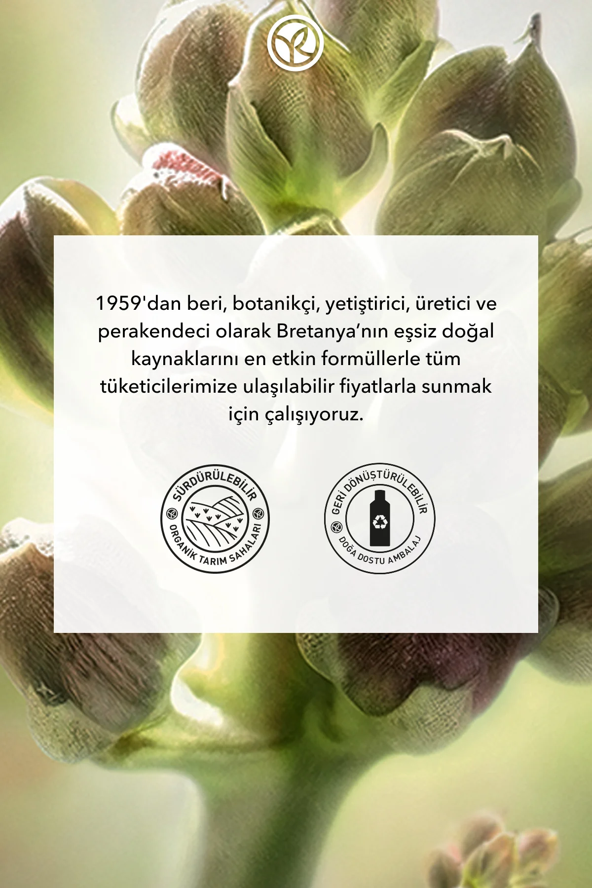 Leke ve Yaşlanma Karşıtı Bitkisel Kök Hücre Bakımı Anti-Age Globa