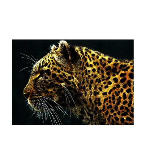 Artikel Leopar-2 Notebook Sticker, Laptop Sticker,, Hp Sticker, Asus Stic