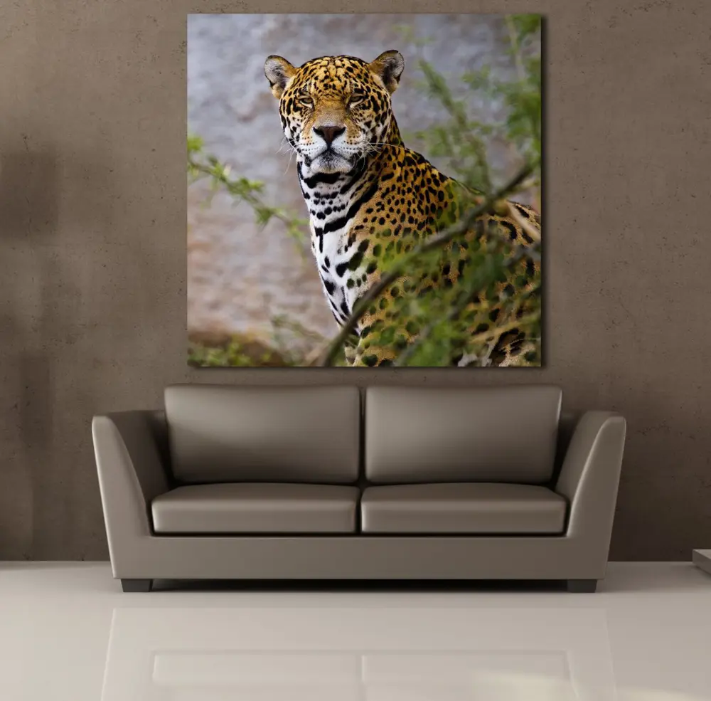 LEOPARIN DURUŞU KANVAS TABLO LEOPARIN DURUŞU KANVAS TABLO