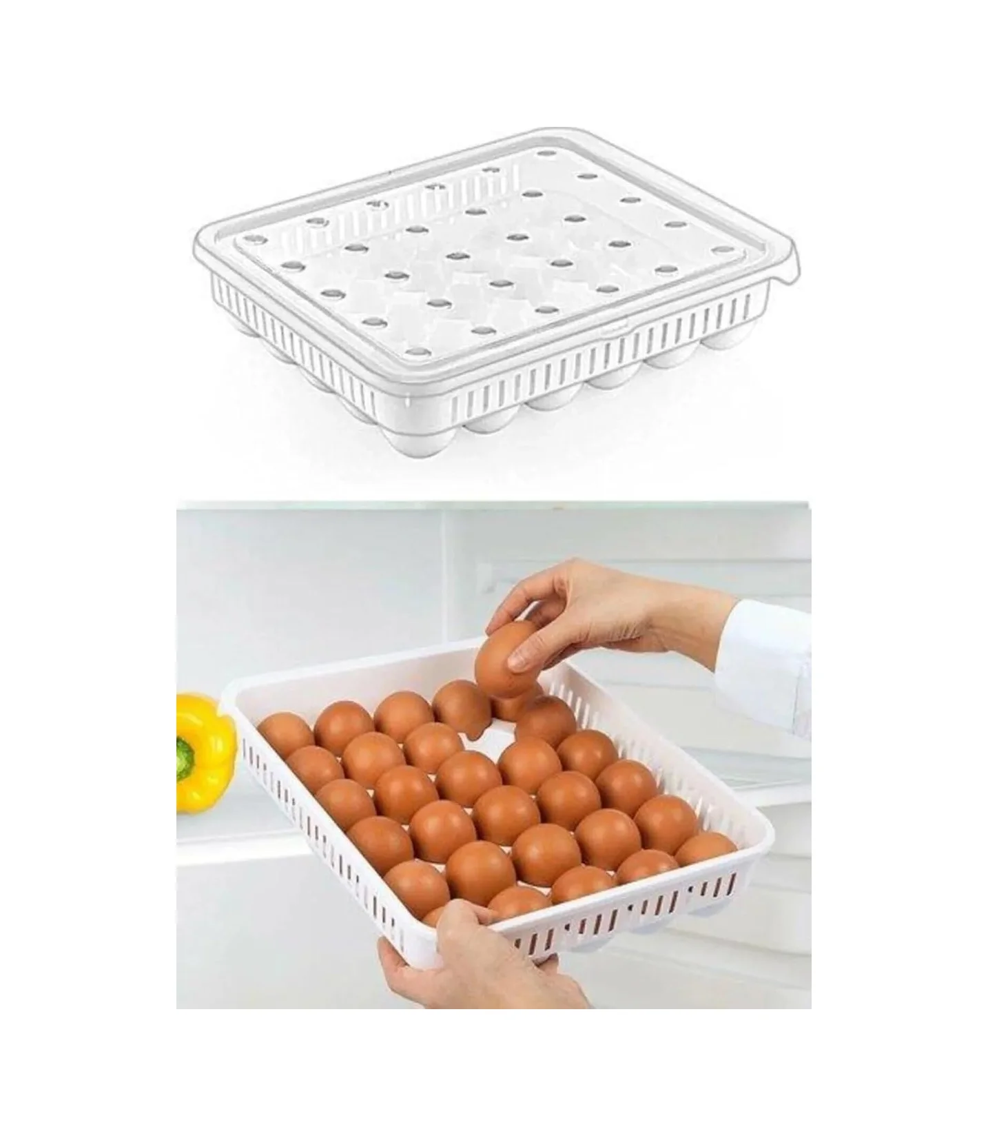 Lexroo 30'lu Kapaklı Yumurta Saklama Kabı, Akrilik Plastik Yumurta Saklama Kabı Çok Renkli Lexroo 30'lu Kapaklı Yumurta Saklama Kabı, Akrilik Plastik Yumurta Saklama Kabı Çok Renkli
