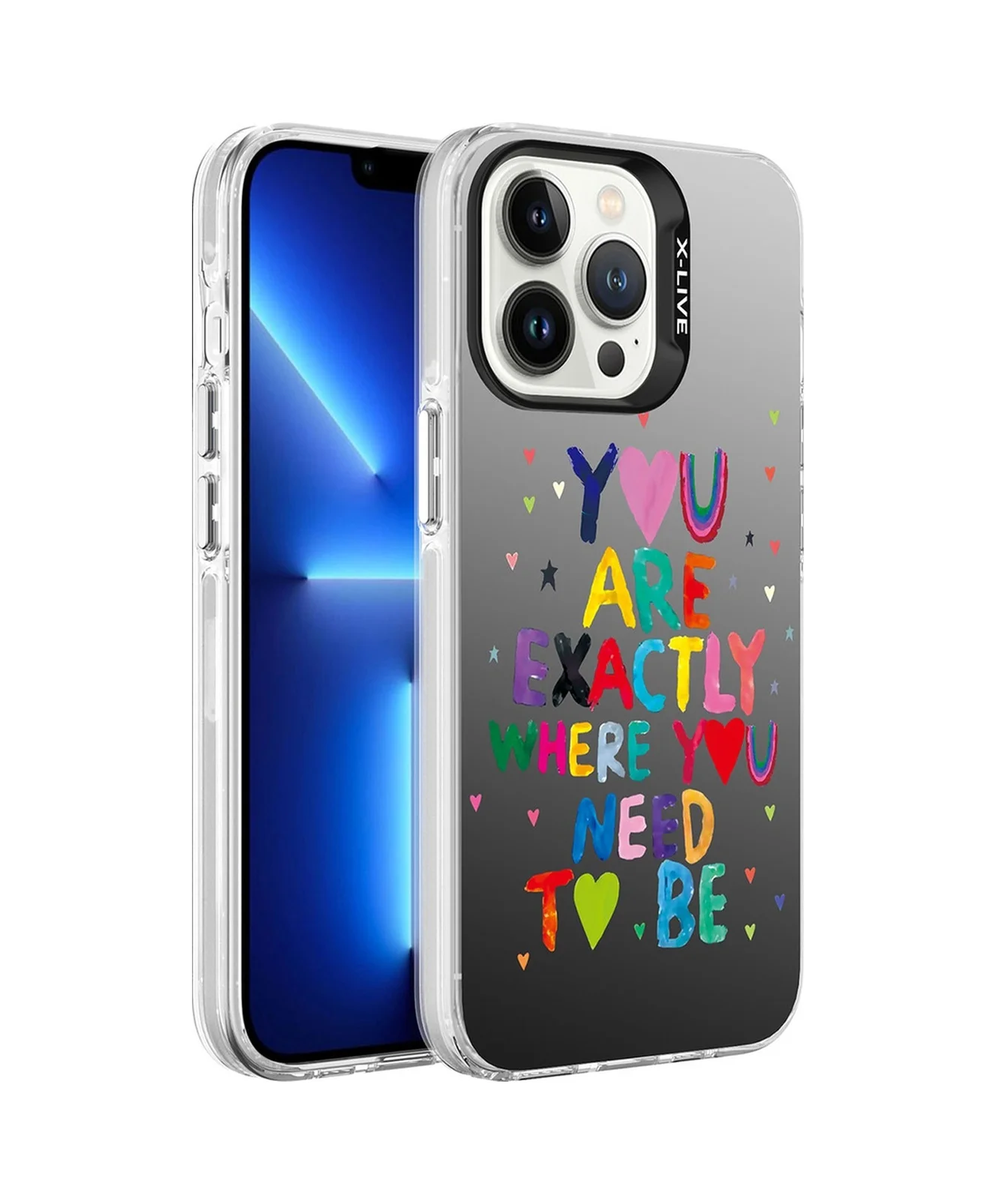 Lexroo Apple iPhone Uyumlu 13 Pro Max Kılıf Desenli Silver Sert Kılıf - You Lexroo Apple iPhone Uyumlu 13 Pro Max Kılıf Desenli Silver Sert Kılıf - You