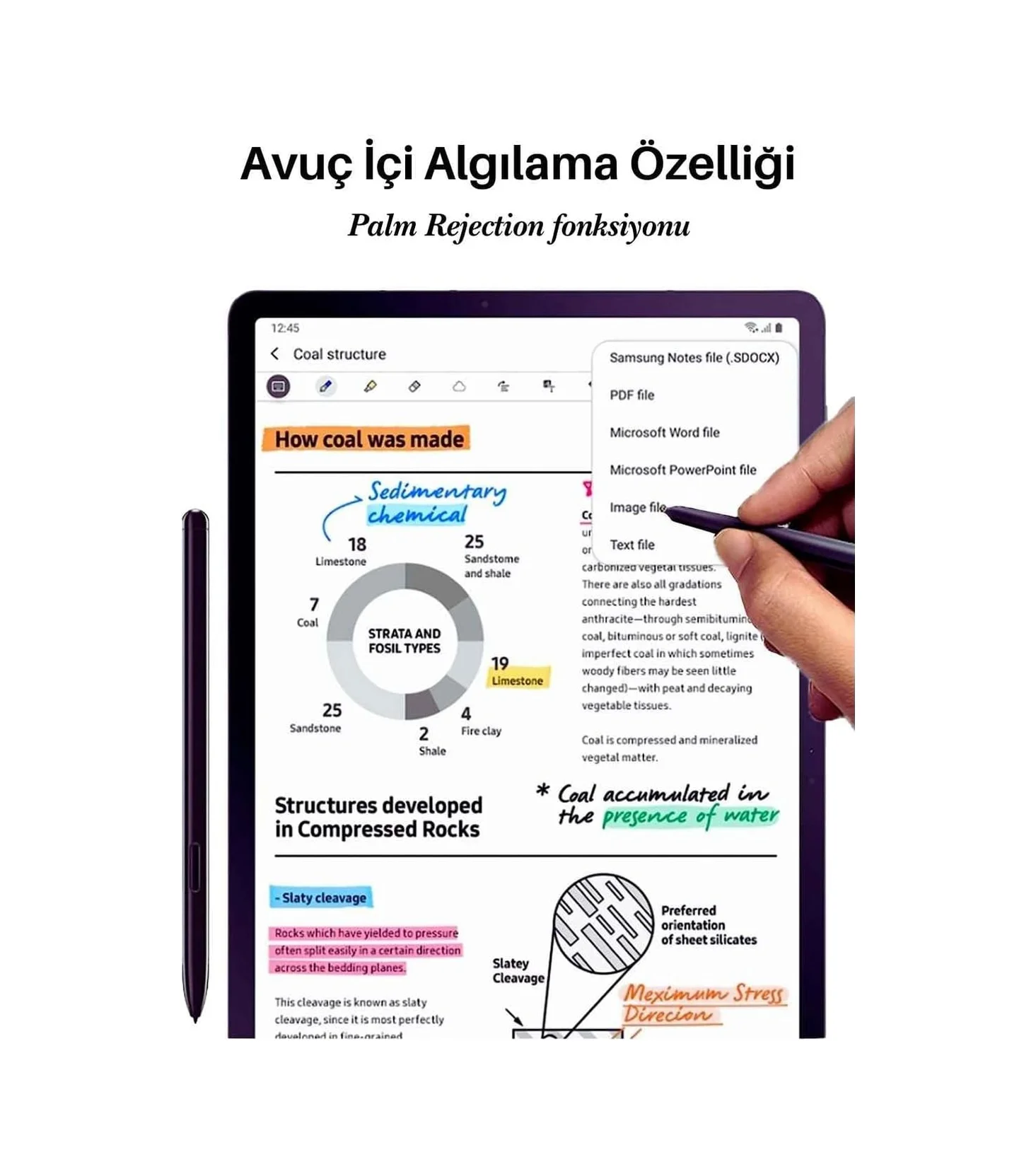 Lexroo Galaxy Tab S6 Lite P620 2024 Tablet İle Uyumlu Spen Dokunmatik Tablet Kalemi Standart Lexroo Galaxy Tab S6 Lite P620 2024 Tablet İle Uyumlu Spen Dokunmatik Tablet Kalemi Standart
