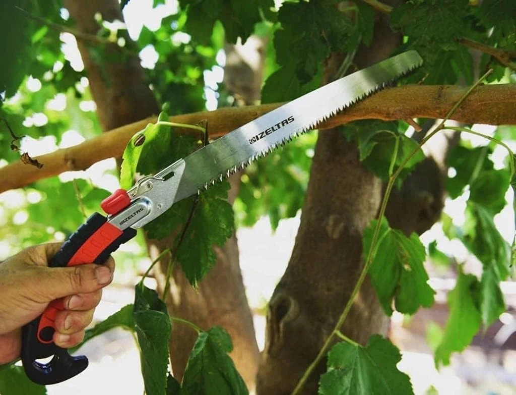 Lexroo Izeltaş Dal Budama Testeresi 300 Mm Lexroo Izeltaş Dal Budama Testeresi 300 Mm