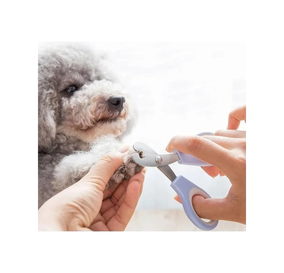Lexroo Kedi Tırnak Makası Çelik Ergonomik Tutuş Evcil Hayvan Köpek Tırnak Makası Garantili Lexroo Kedi Tırnak Makası Çelik Ergonomik Tutuş Evcil Hayvan Köpek Tırnak Makası Garantili