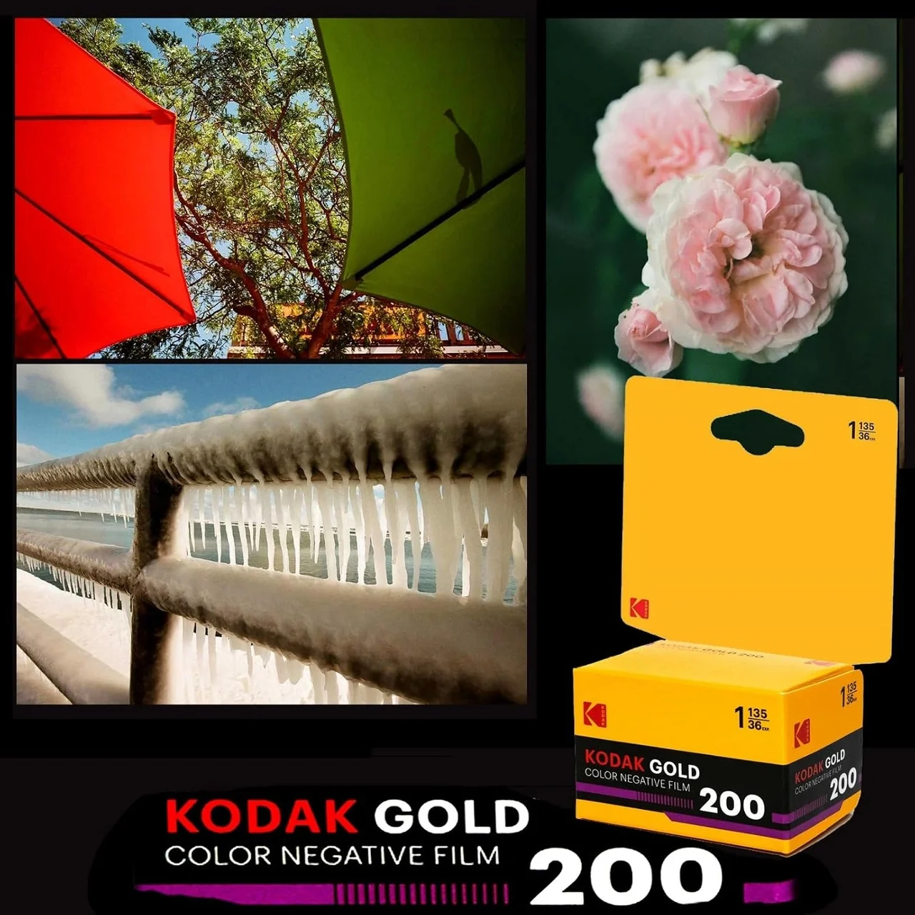 Lexroo Kodak Gold200 Kart 35mm 36 Poz Renkli Negatif Analog Fotoğraf Filmi Iso 200 Gün Işığı Retro Standart Lexroo Kodak Gold200 Kart 35mm 36 Poz Renkli Negatif Analog Fotoğraf Filmi Iso 200 Gün Işığı Retro Standart