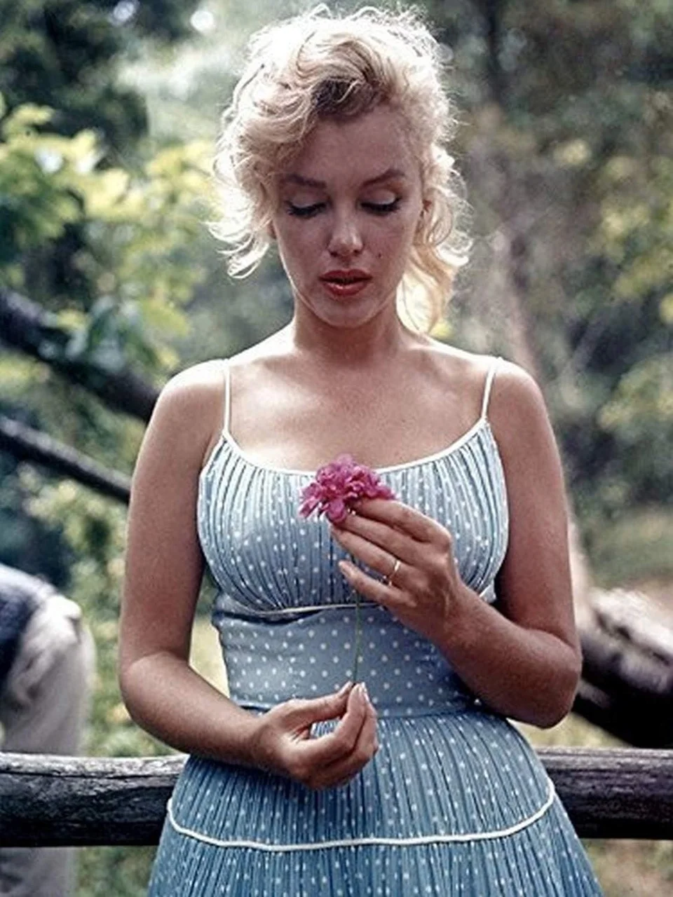 Lexroo Marilyn Monroe'nun Çiçekli Nadir Fotoğrafı 12x16 Sanat Baskılı Poster Abd'de Üretilmiştir Lexroo Marilyn Monroe'nun Çiçekli Nadir Fotoğrafı 12x16 Sanat Baskılı Poster Abd'de Üretilmiştir