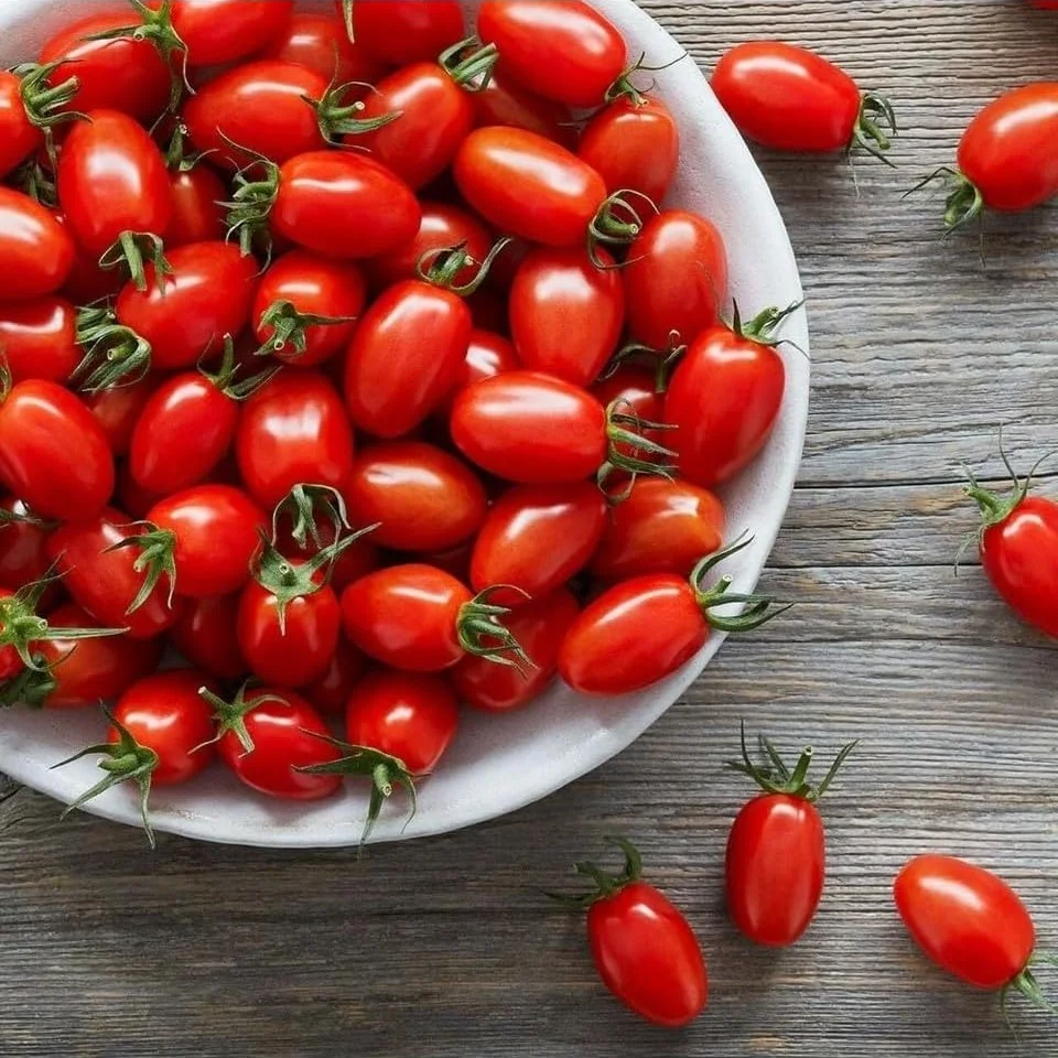 Lexroo Mini Üzüm Cherry Domates Tohumu 10+ Tohum Saksı Ve Balkon İçin Standart Lexroo Mini Üzüm Cherry Domates Tohumu 10+ Tohum Saksı Ve Balkon İçin Standart