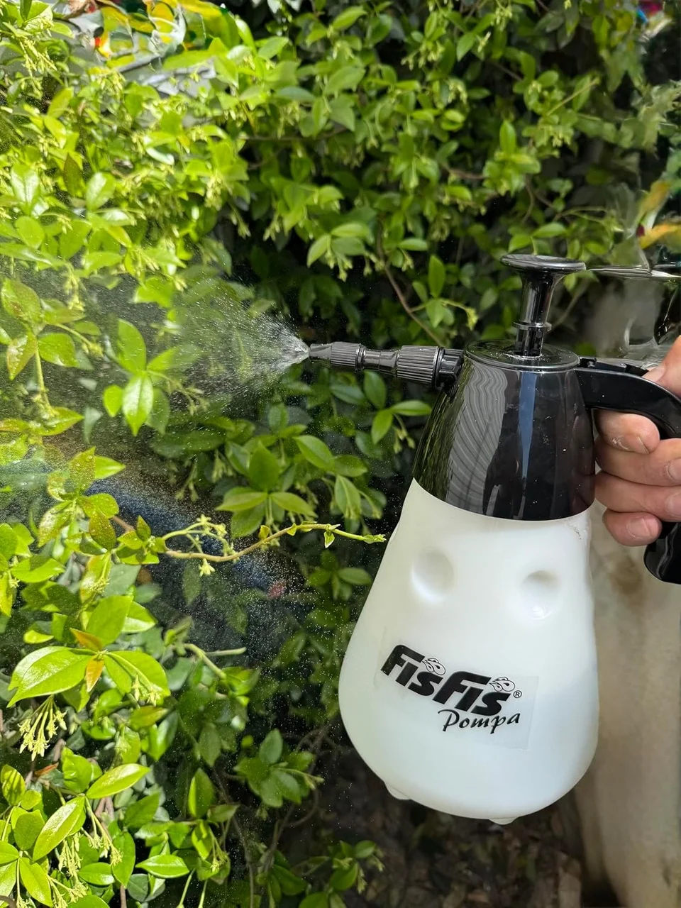 Lexroo Mp621 Fısfıs Lux Basınçlı Pompa 2litre Lexroo Mp621 Fısfıs Lux Basınçlı Pompa 2litre