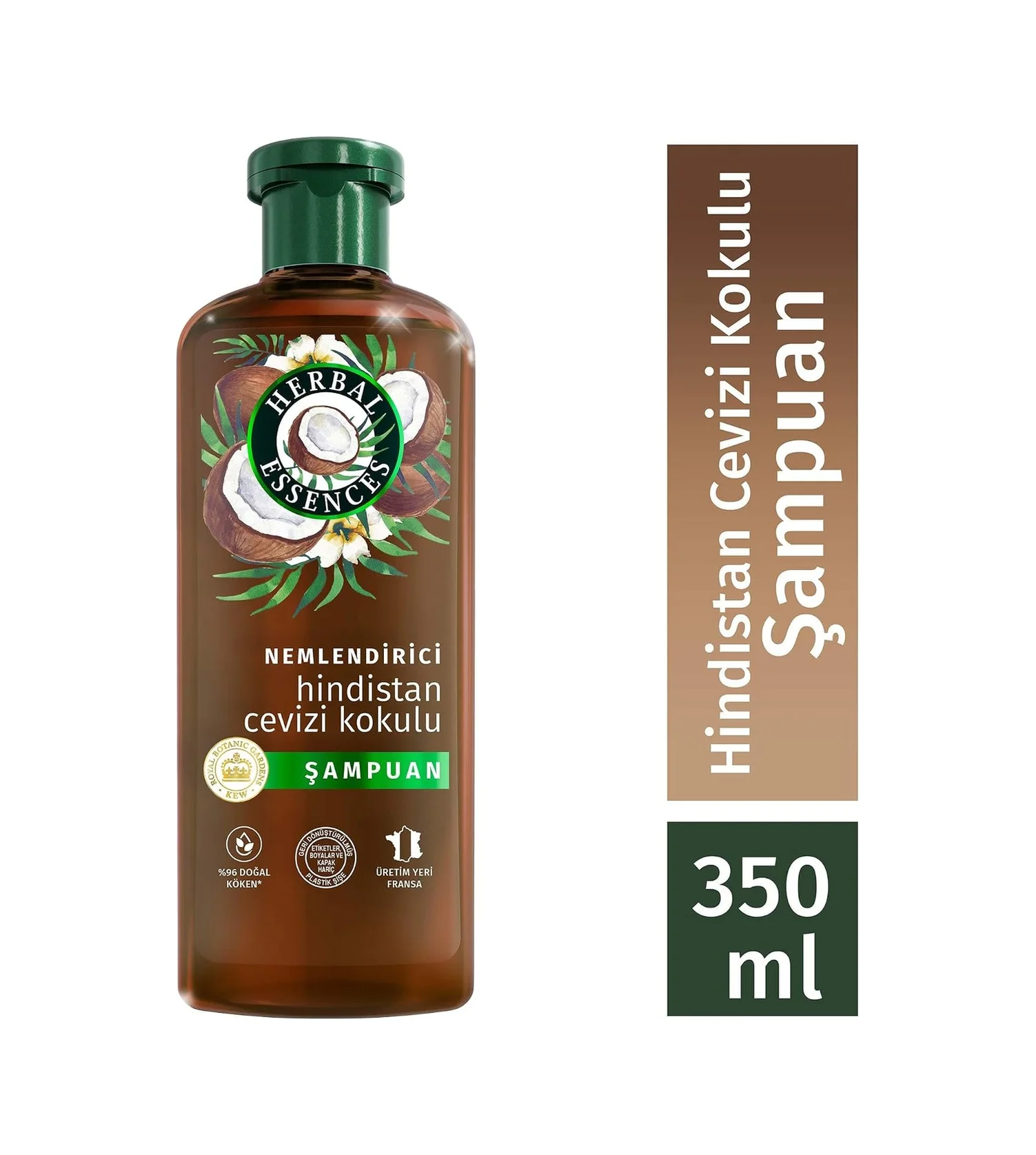 Lexroo Nemlendirici Hindistan Cevizi Kokulu Şampuan 350ml Lexroo Nemlendirici Hindistan Cevizi Kokulu Şampuan 350ml