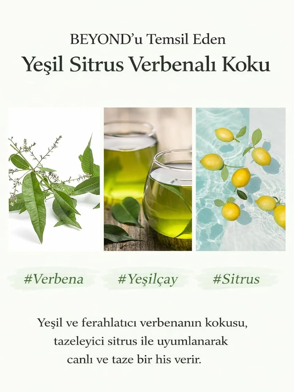 Lexroo Verbena Refreshing Body Wash Duş Jeli Limon Mine Çiçeği Ferahlatıcı 500 Ml Cildinizi Lexroo Verbena Refreshing Body Wash Duş Jeli Limon Mine Çiçeği Ferahlatıcı 500 Ml Cildinizi