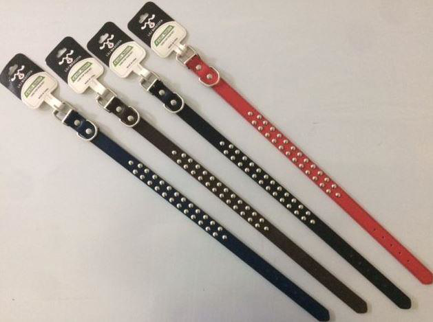 Lili Mascota Köpek Boyun Tasması HX20H 2cmx47cm