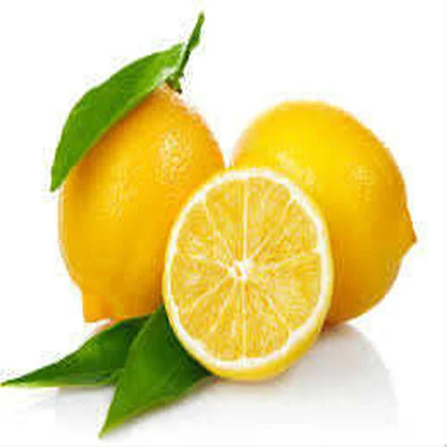 Limon Bonesi / 250 Adet /  Çayı Bonesi