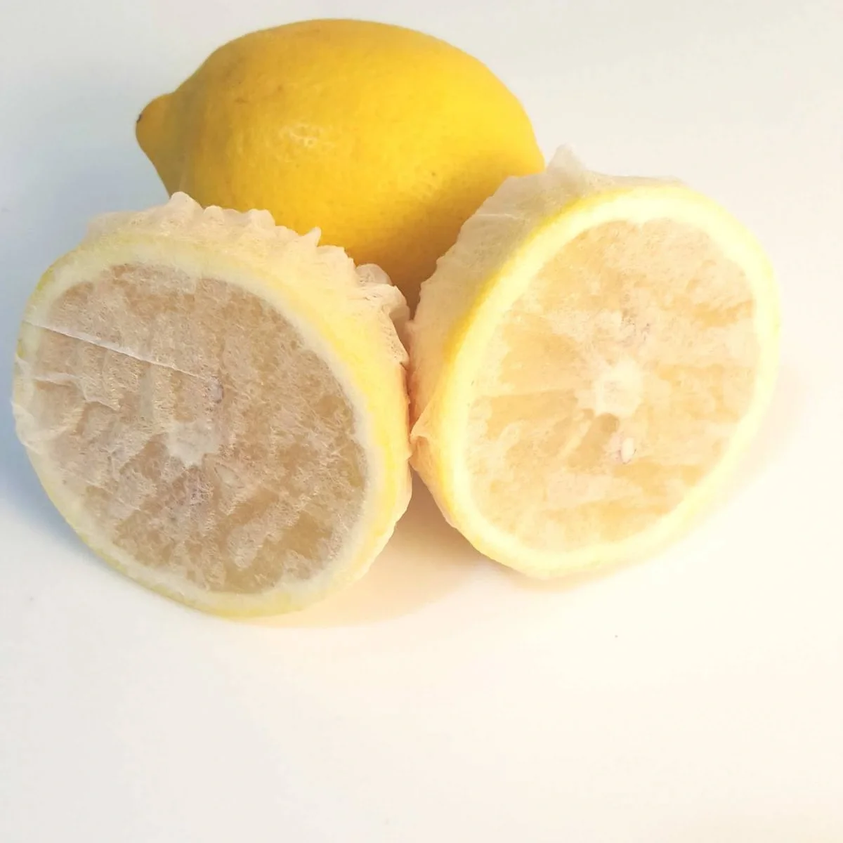 Limon Bonesi / 50 Adet / Bitki Çayı Bonesi Limon Bonesi / 50 Adet / Bitki Çayı Bonesi Fiyatı, Yorumları ve Özellikleri