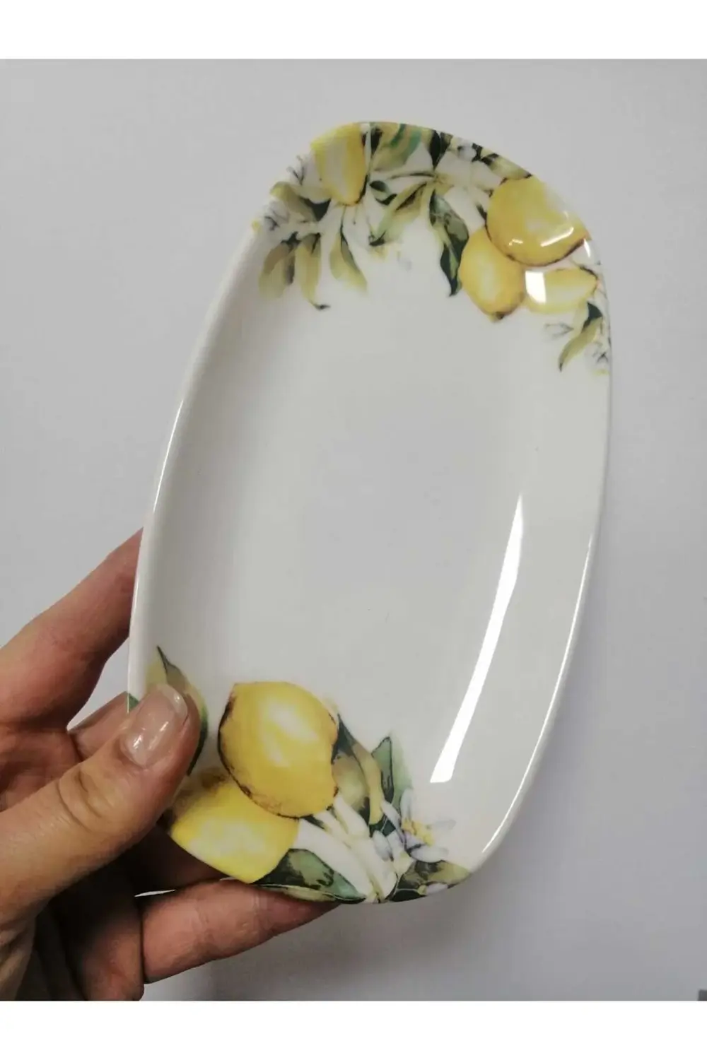 Limon Desenli Porselen Kayık Tabak