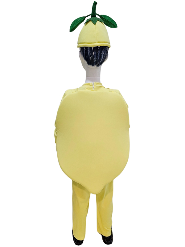 Limon Kostümü Limon Kostümü