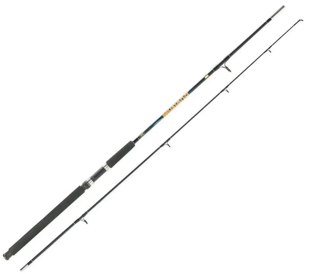 Lineaeffe Mustang 100-250g Tekne Kamışı 2P Lineaeffe Mustang 100-250g Tekne Kamışı 2P