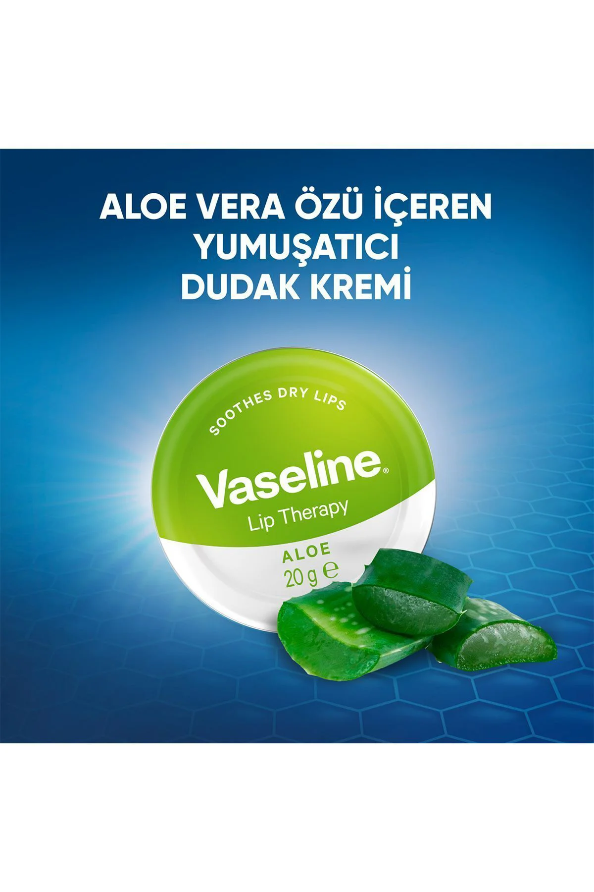 Lip Therapy Yumuşatıcı Dudak Kremi Aloe Vera Özü 20 G X2