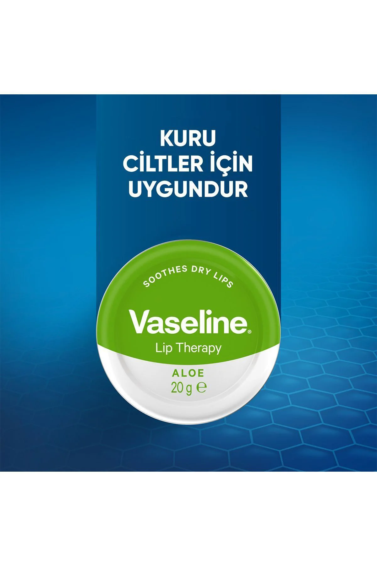 Lip Therapy Yumuşatıcı Dudak Kremi Aloe Vera Özü 20 G X2