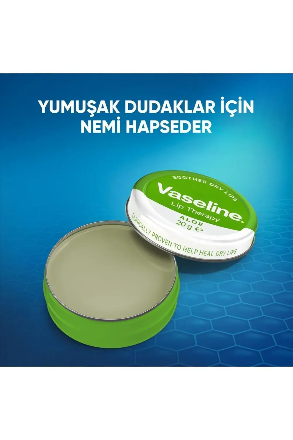 Lip Therapy Yumuşatıcı Dudak Kremi Aloe Vera Özü 20 G X2