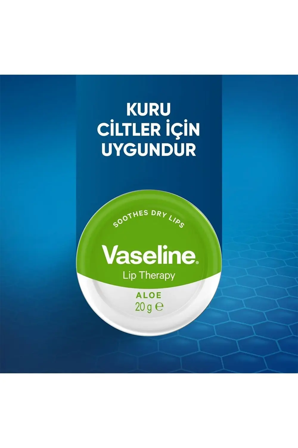 Lip Therapy Yumuşatıcı Dudak Kremi Aloe Vera Özü 20 G X2