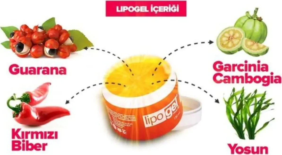 Lipo Gel Bölgesel Masaj ve Bakım Kremi Jeli 150 ml – İncelme ve Selülit Bakımı Fiyatı, Yorumları ve Özellikleri