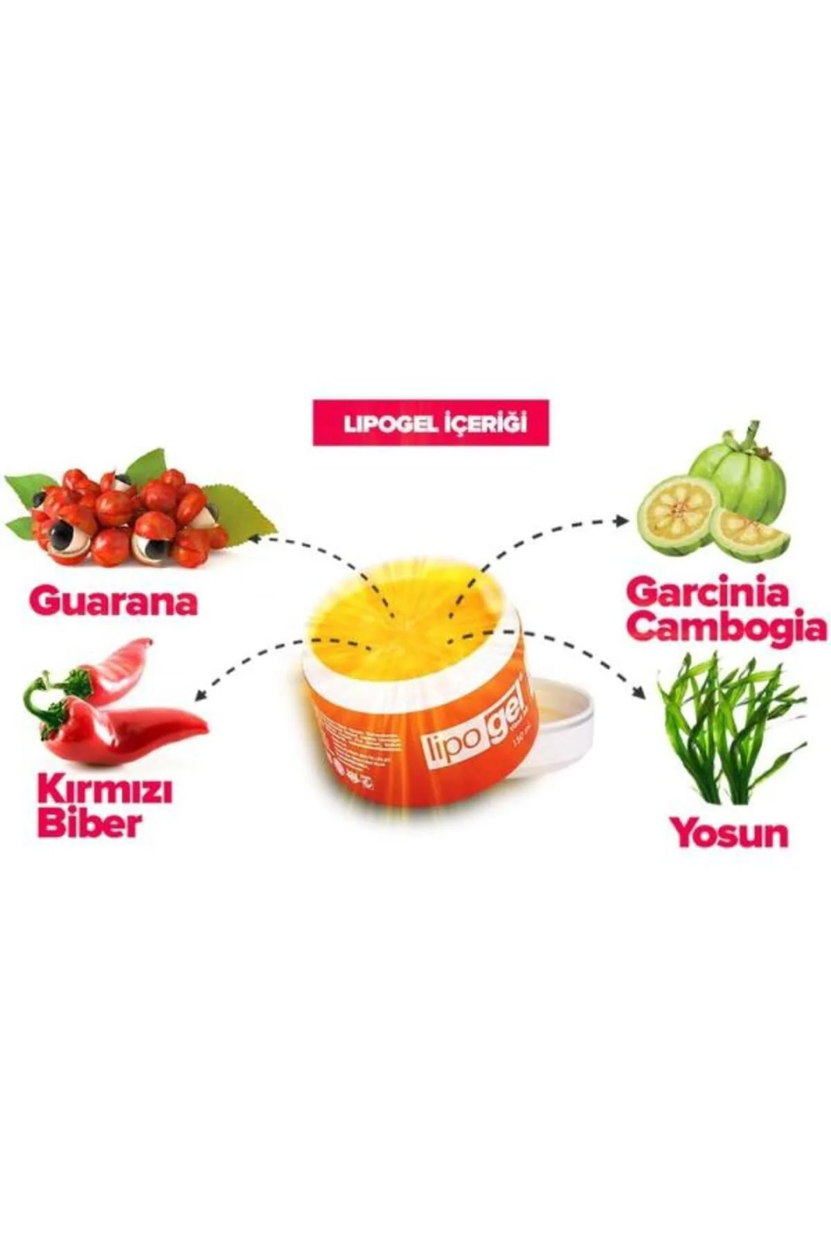 Lipo Gel Bölgesel Selulit Bakım Kremi Jeli 150 ml Fiyatı, Yorumları ve Özellikleri