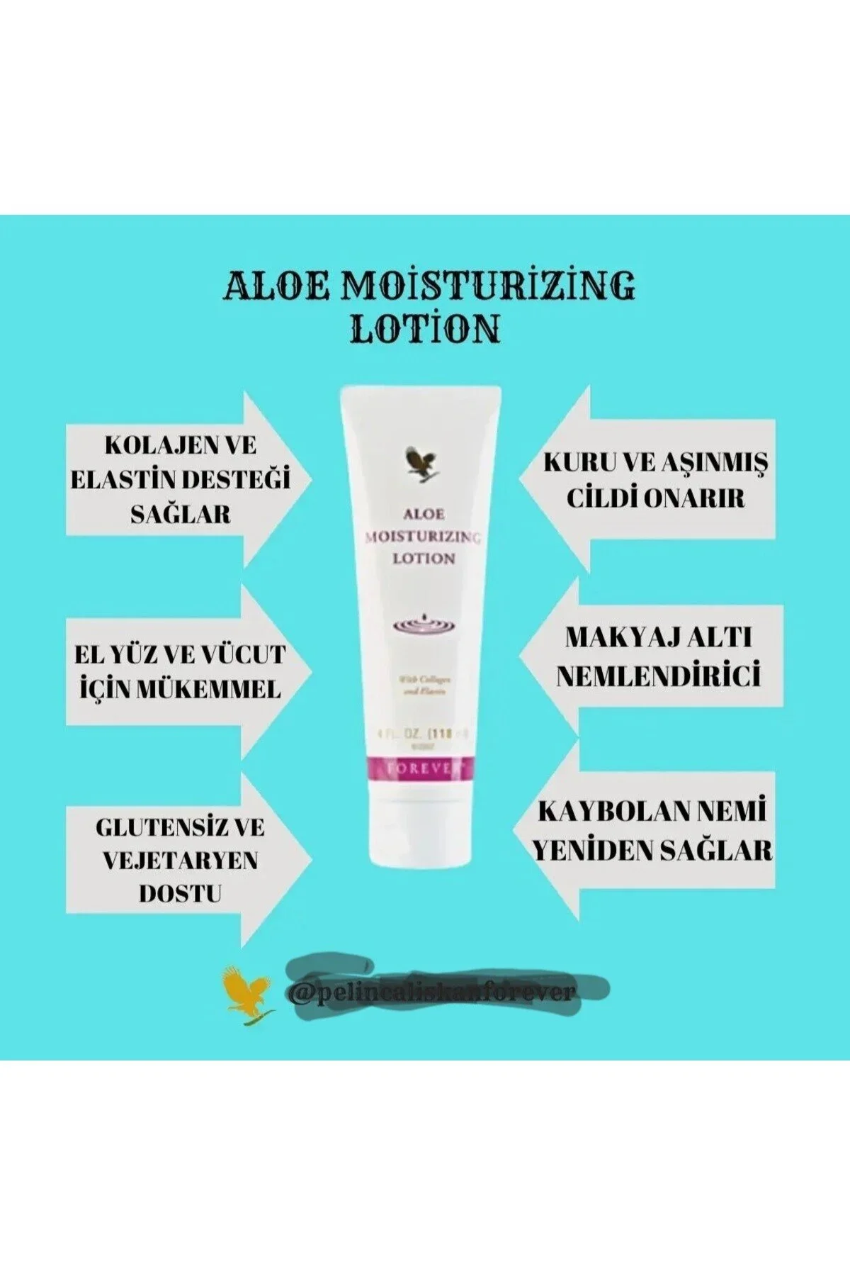 Living Aloe Moisturizing Lotion