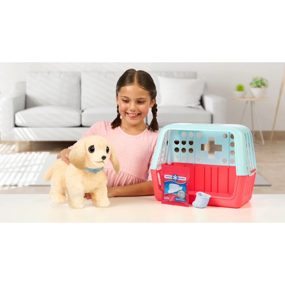 LLP Yavru Köpek İyileşir LLP Yavru Köpek İyileşir