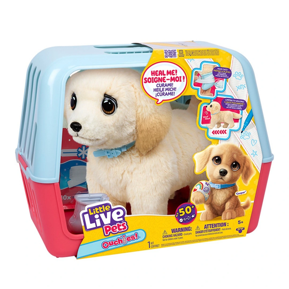 LLP Yavru Köpek İyileşir LLP Yavru Köpek İyileşir