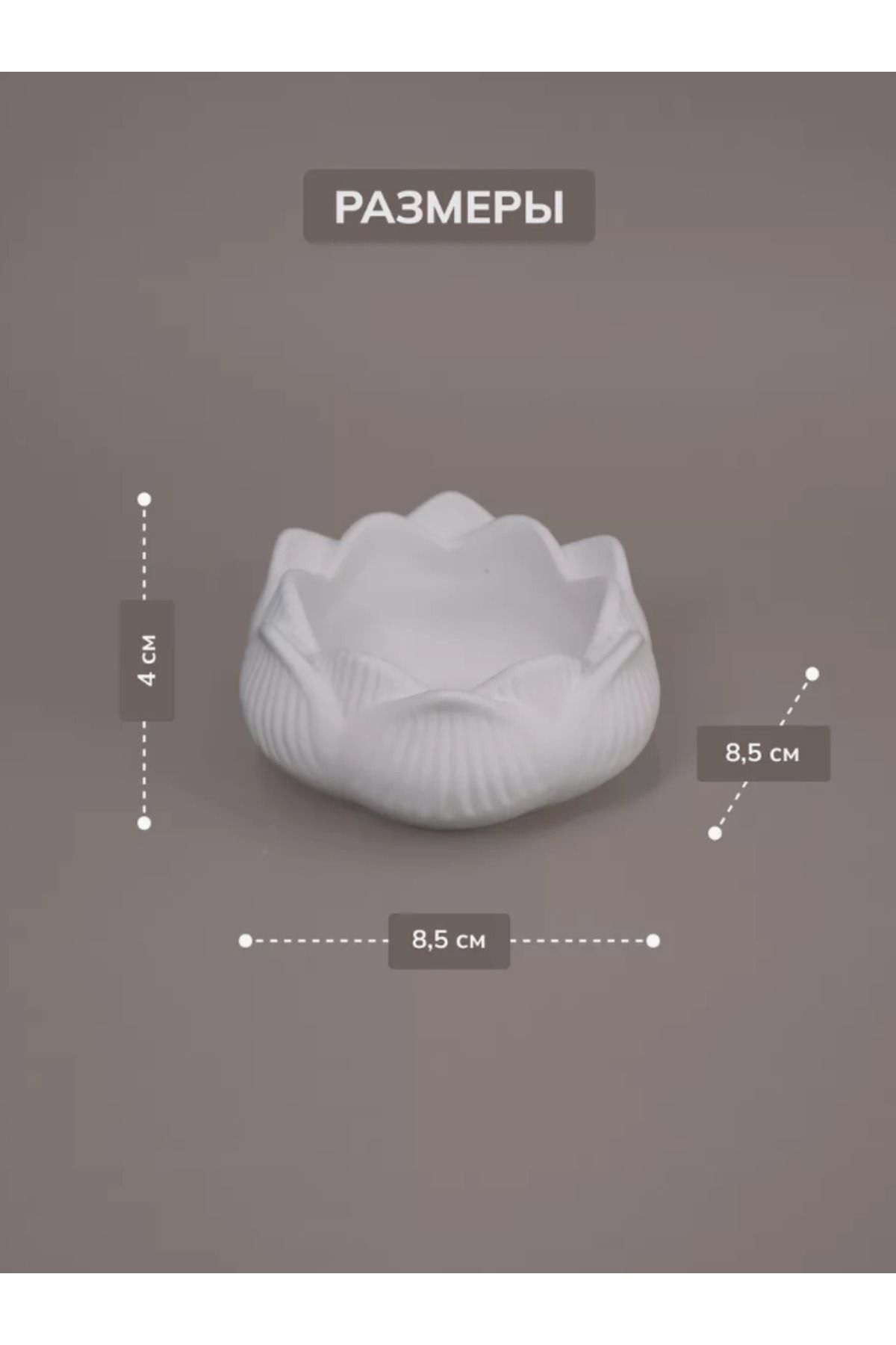 Lotus Beton Dekor Seti – Estetik ve Zarafetin Buluşması