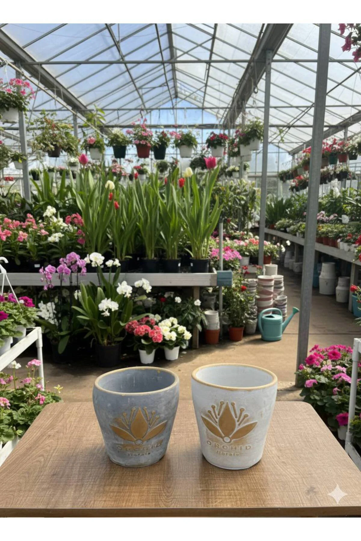 Lotus Çiçeği Desenli Dekoratif Beton Görünümlü Saksı - 2 Farklı R