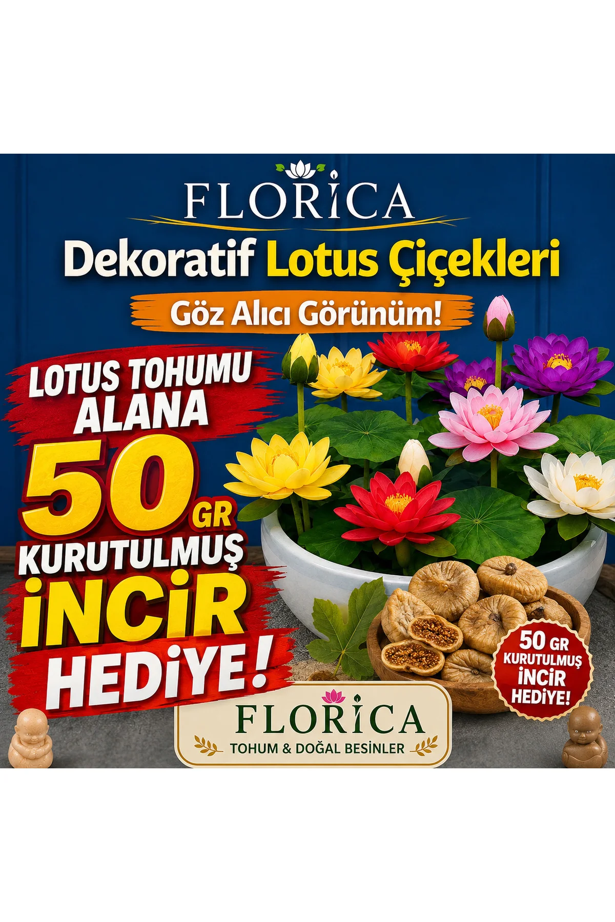 Lotus Çiçeği Tohumu 1 Adet – Nilüfer Çiçeği Tohumu Nadir Kutsal Lotus(Sürpriz Tohum Hediye)