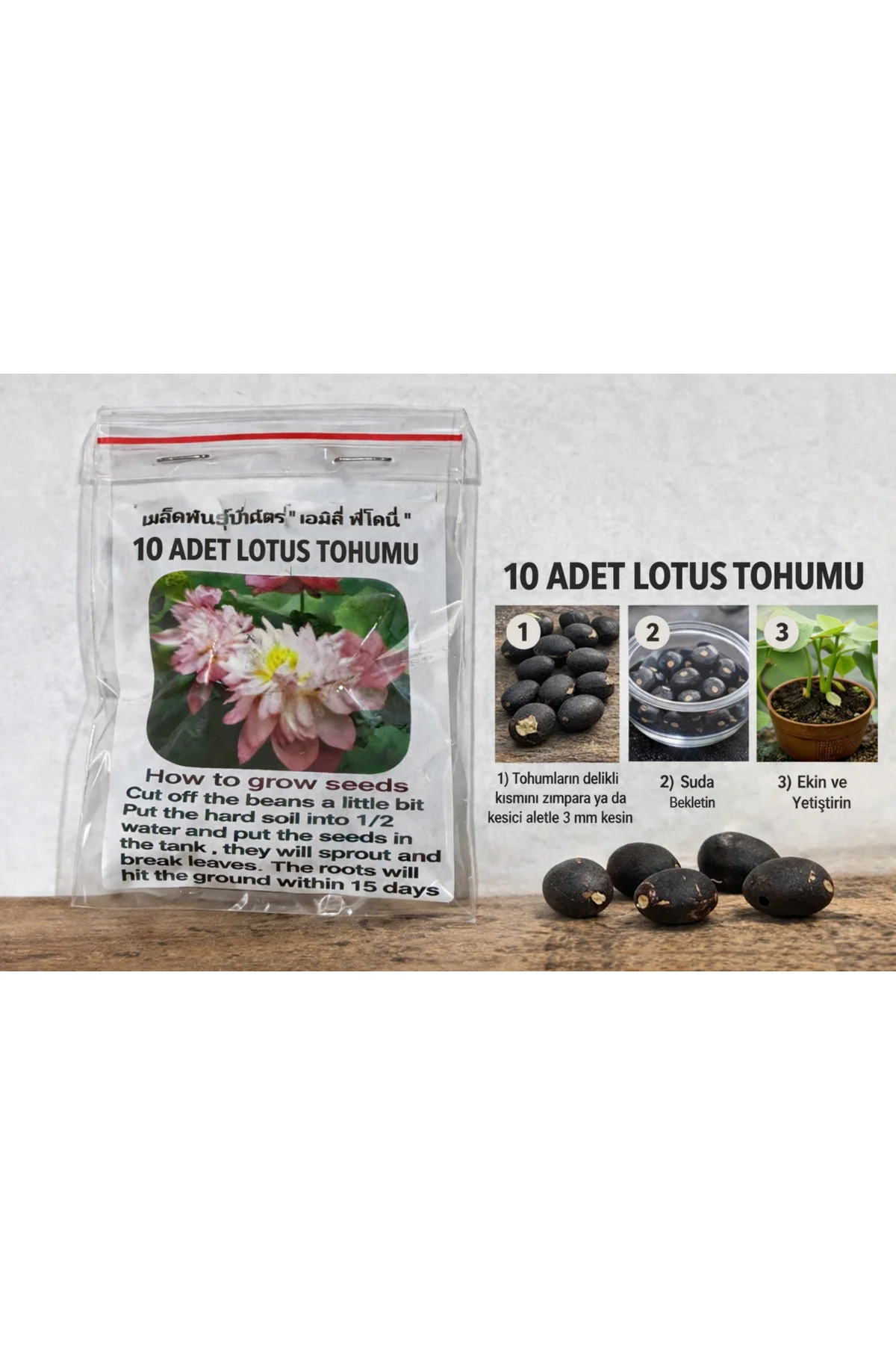 Lotus Çiçeği Tohumu 10 Adet – Nilüfer Çiçeği Tohumu Nadir Kutsal Lotus