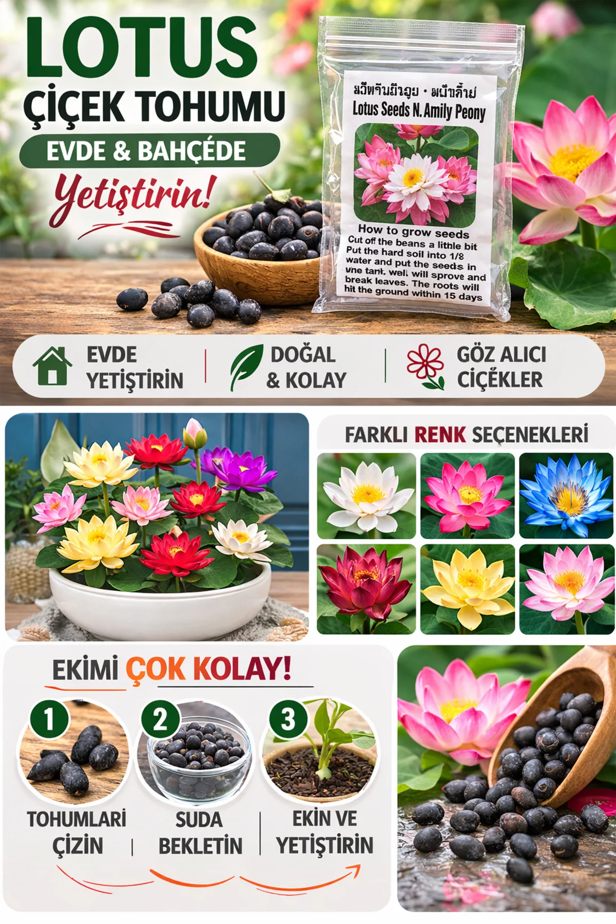 Lotus Çiçeği Tohumu 10 Adet – Nilüfer Çiçeği Tohumu Nadir Kutsal Lotus
