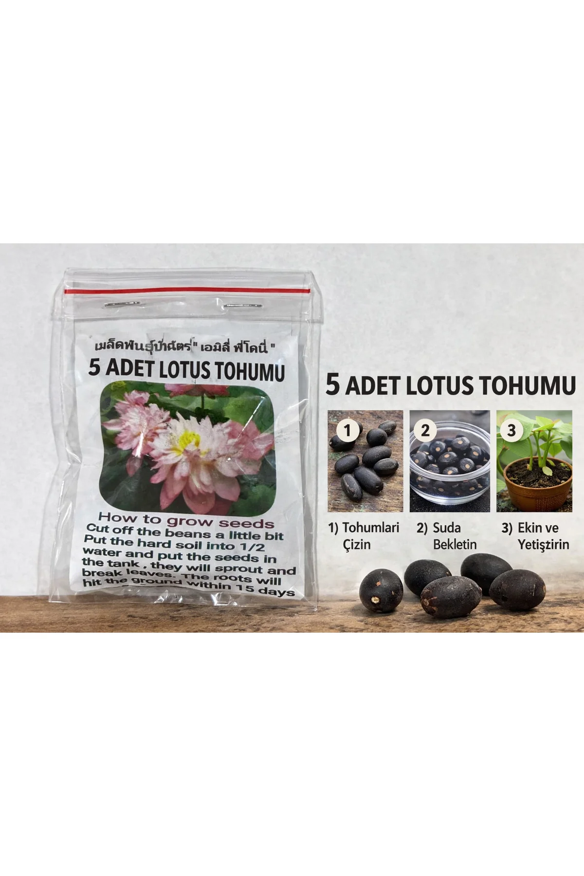 Lotus Çiçeği Tohumu 10 Adet – Nilüfer Çiçeği Tohumu Nadir Kutsal Lotus