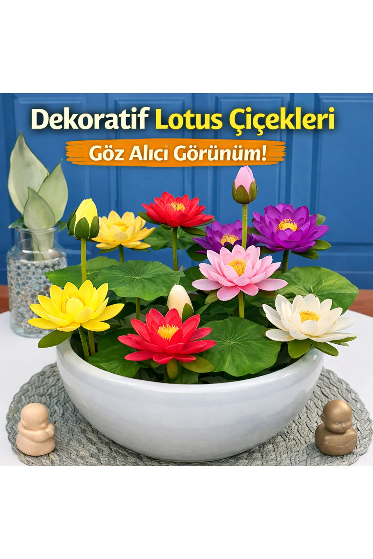 Lotus Çiçeği Tohumu 10 Adet – Nilüfer Çiçeği Tohumu Nadir Kutsal Lotus