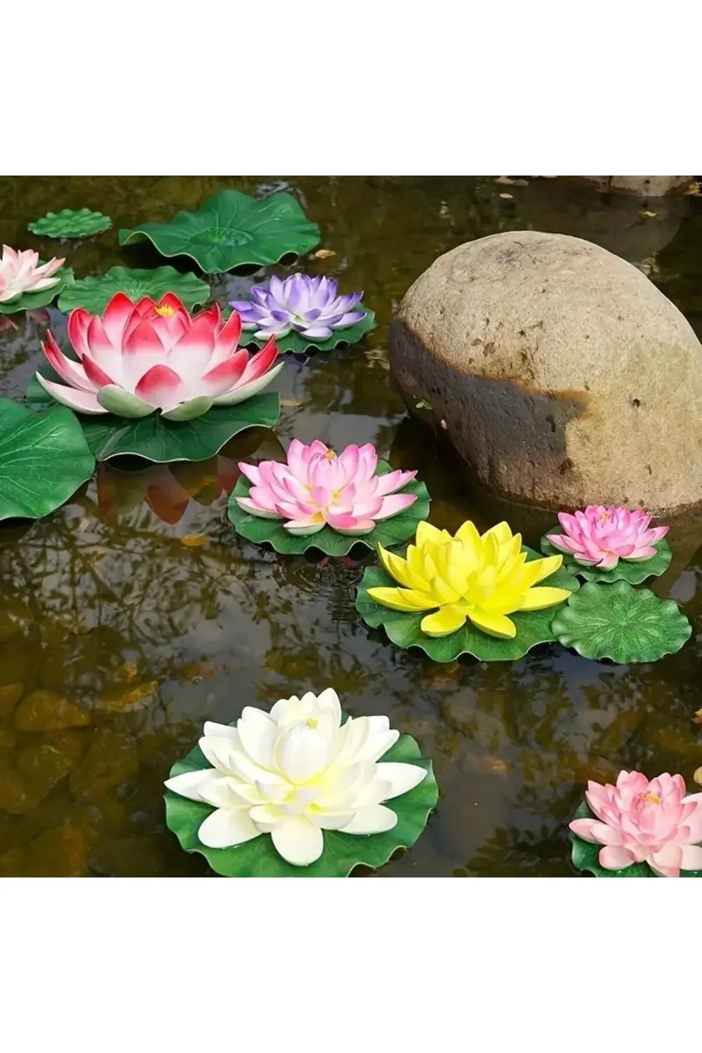 Lotus Çiçeği Tohumu (Nilüfer) Orjinal Tohum 10 Adet Karışık Fiyatı, Yorumları ve Özellikleri