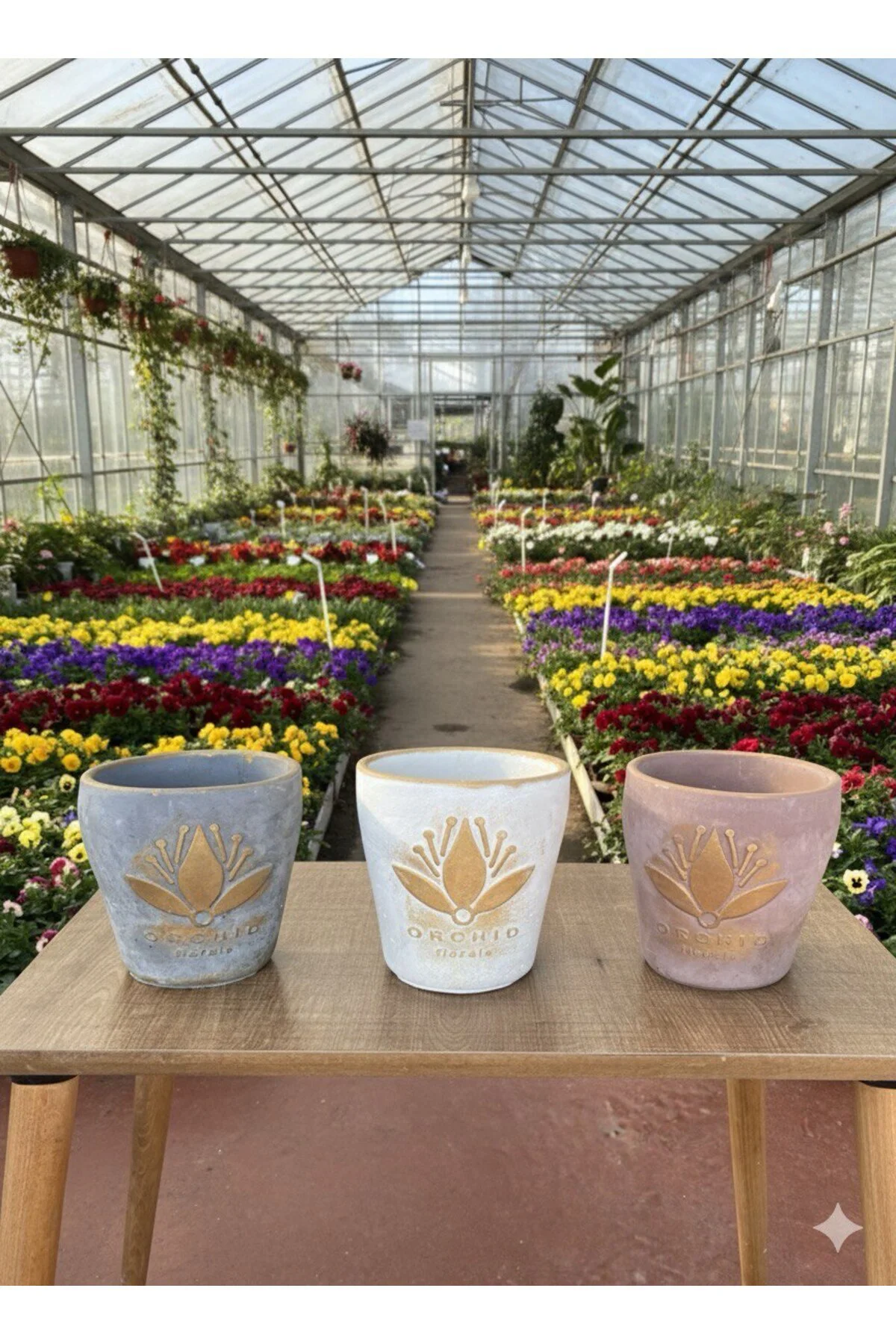 Lotus Desenli Dekoratif Çiçek ve Orkide Saksı - 3 Farklı Renk