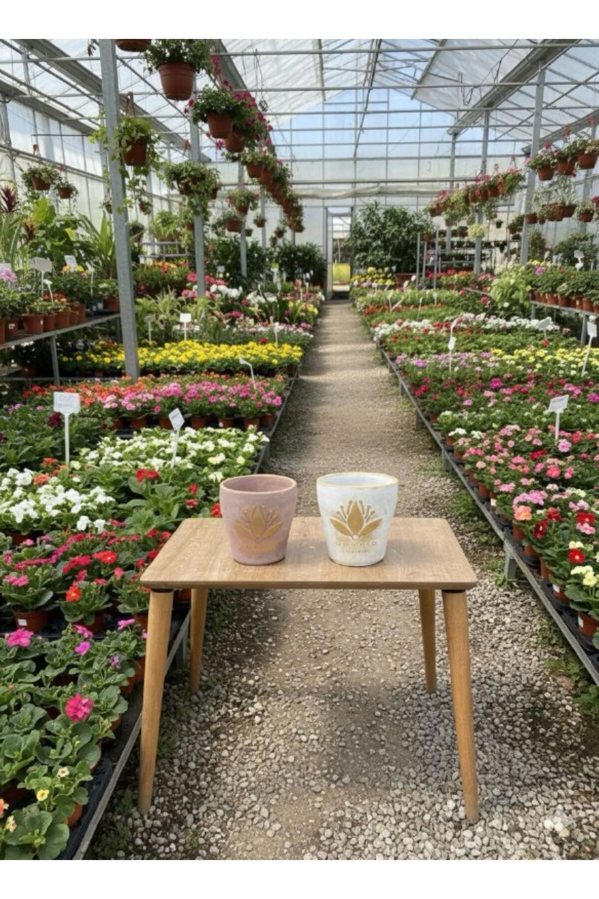 Lotus Desenli Dekoratif Çiçek ve Orkide Saksı - 2 Farklı Renk (çi