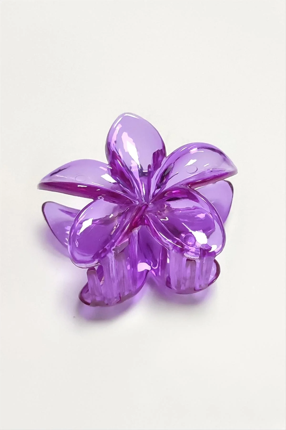 Lotus Toka 8 cm