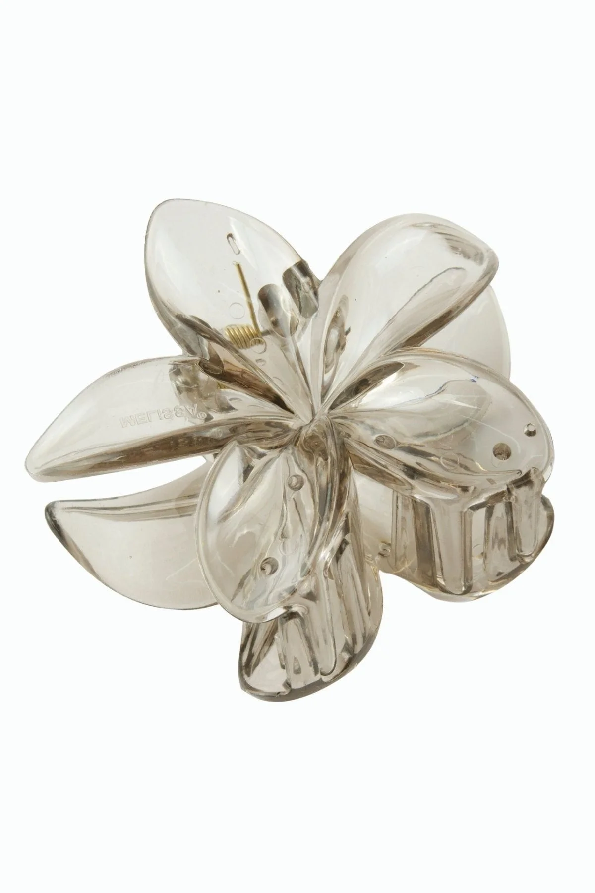 Lotus Toka 8 cm