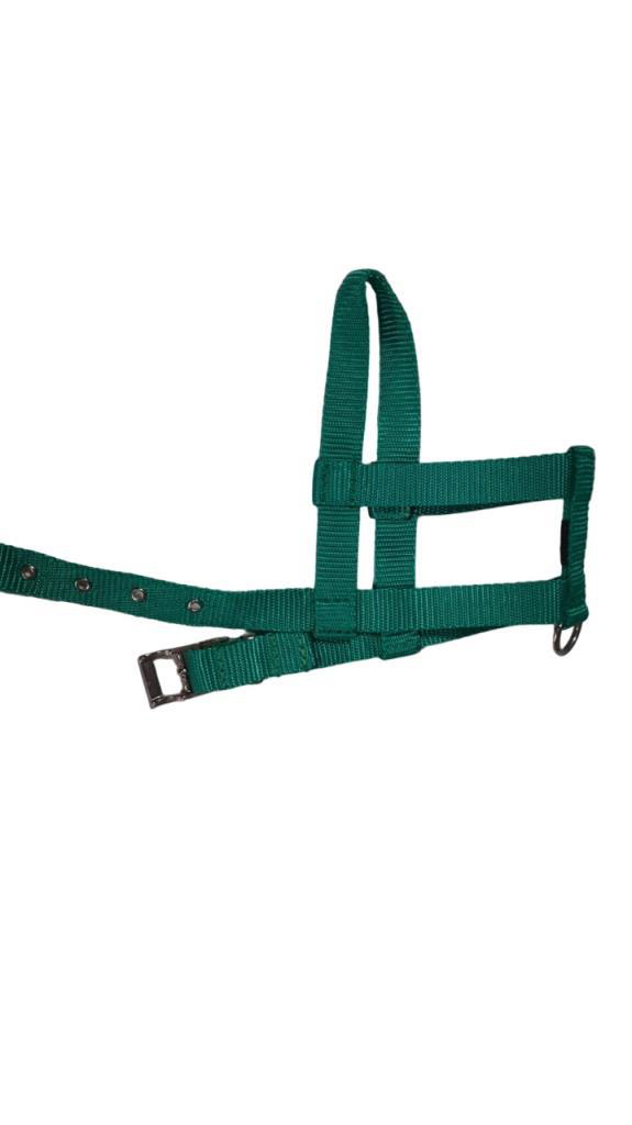 Lovely Ayarlanır Köpek Göğüs Tasması 2cm 5-17 Kg Aralığındaki Köp